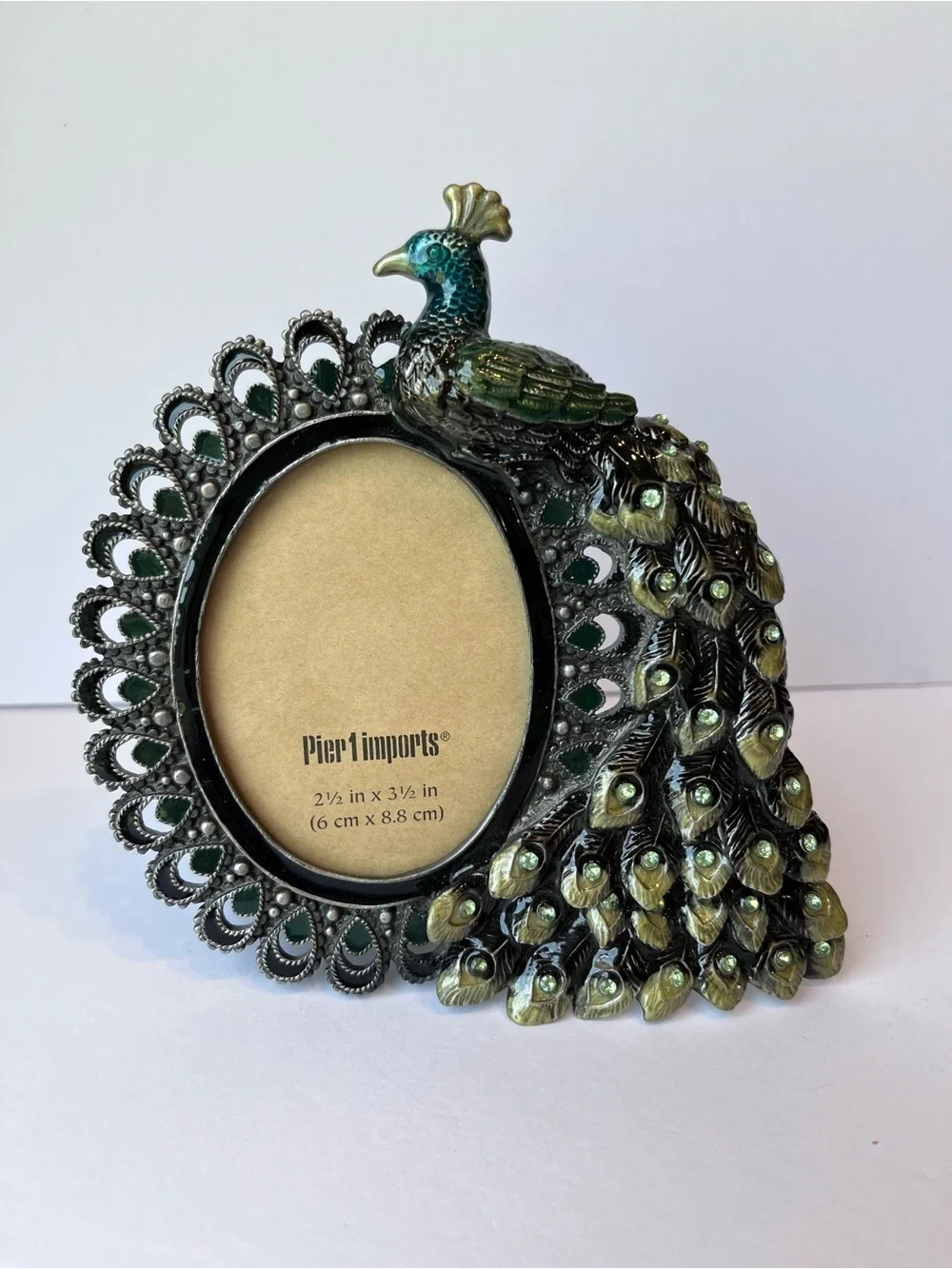 Pier 1 Imports Peacock Enameled Picture Frame